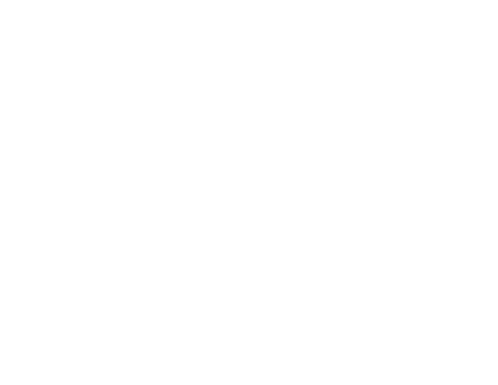 Logo ZENKI